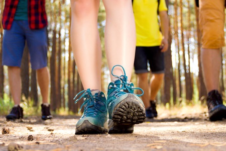 Foot Steps Walking Through Forest