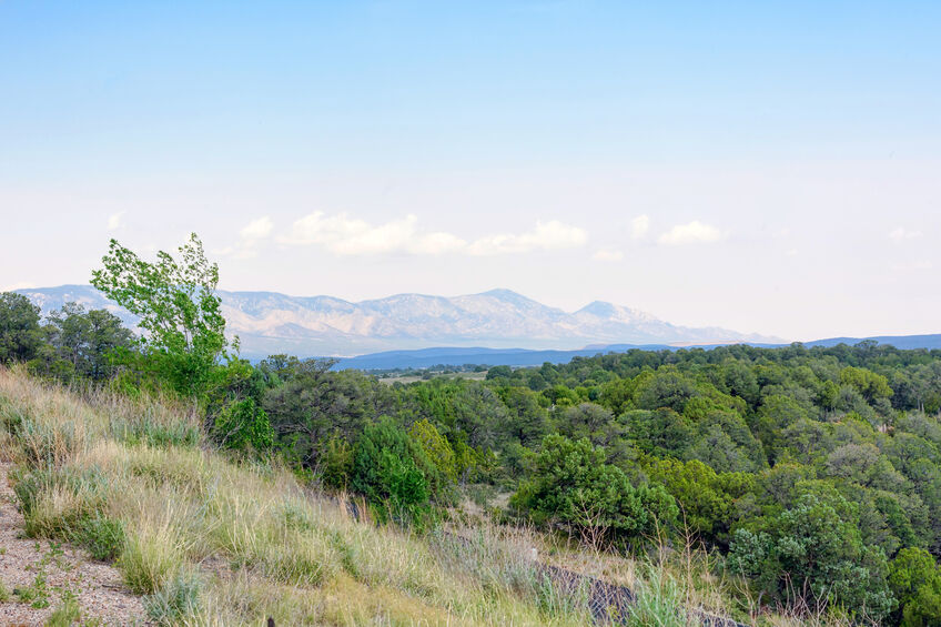 Daylight view of mountains in Ruidoso