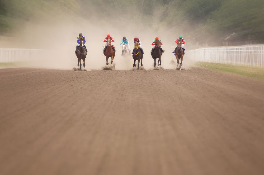 Home stretch of a horse race on dirt track